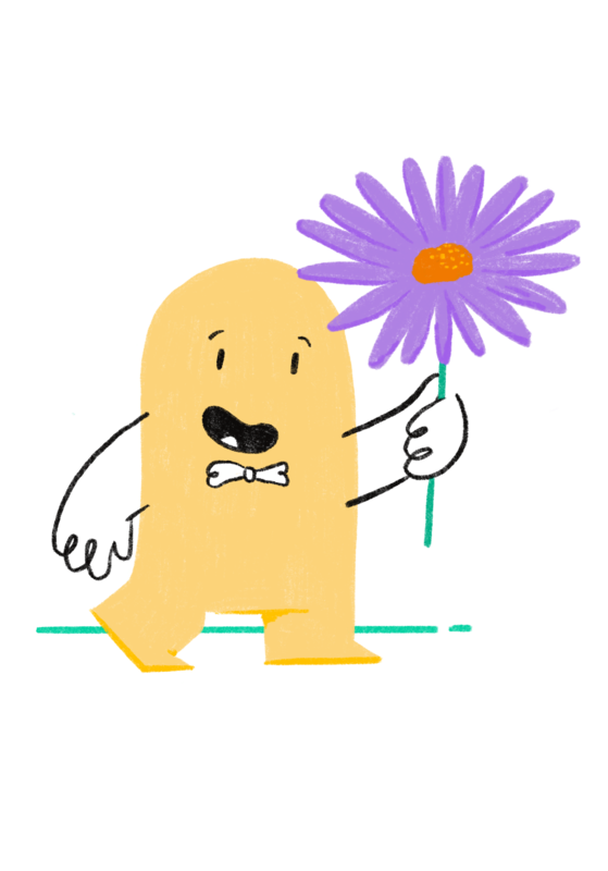 Aster
