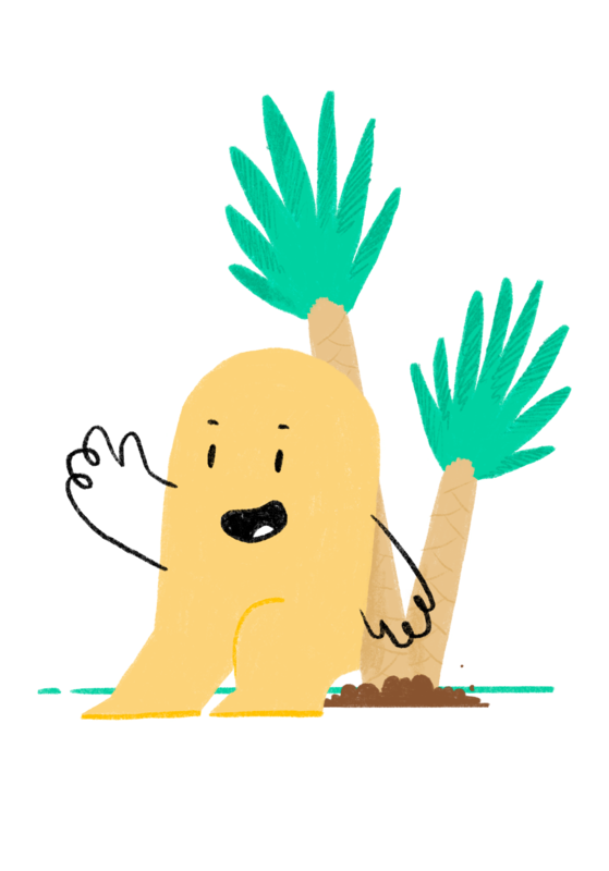 Yucca